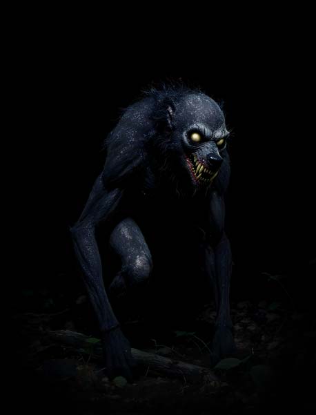 dogman-encyclopedia-image